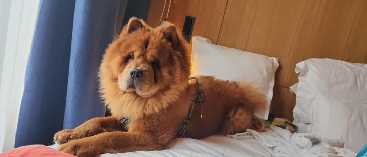 Ukiyo Du Domaine De Goes-Kuard